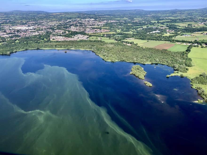 The Science Behind Algal Blooms