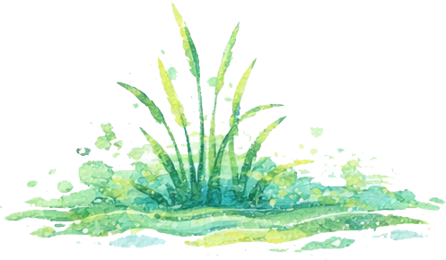 Knowledge for Action: Together, We Can Restore Lough Neagh.